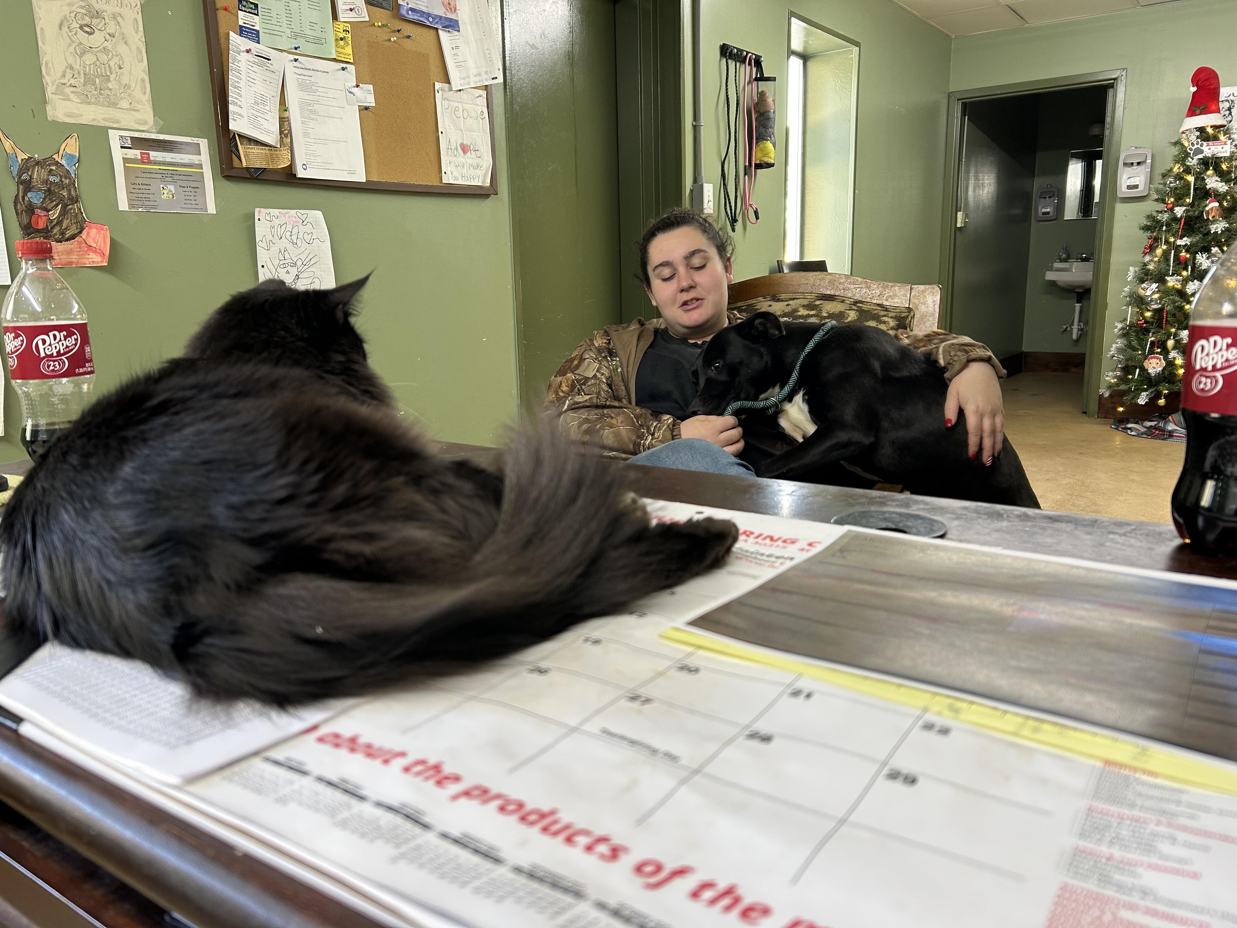 Enlarge FLIP, a ADOPTABLE mixed breed in Newborn, GA image 4/6