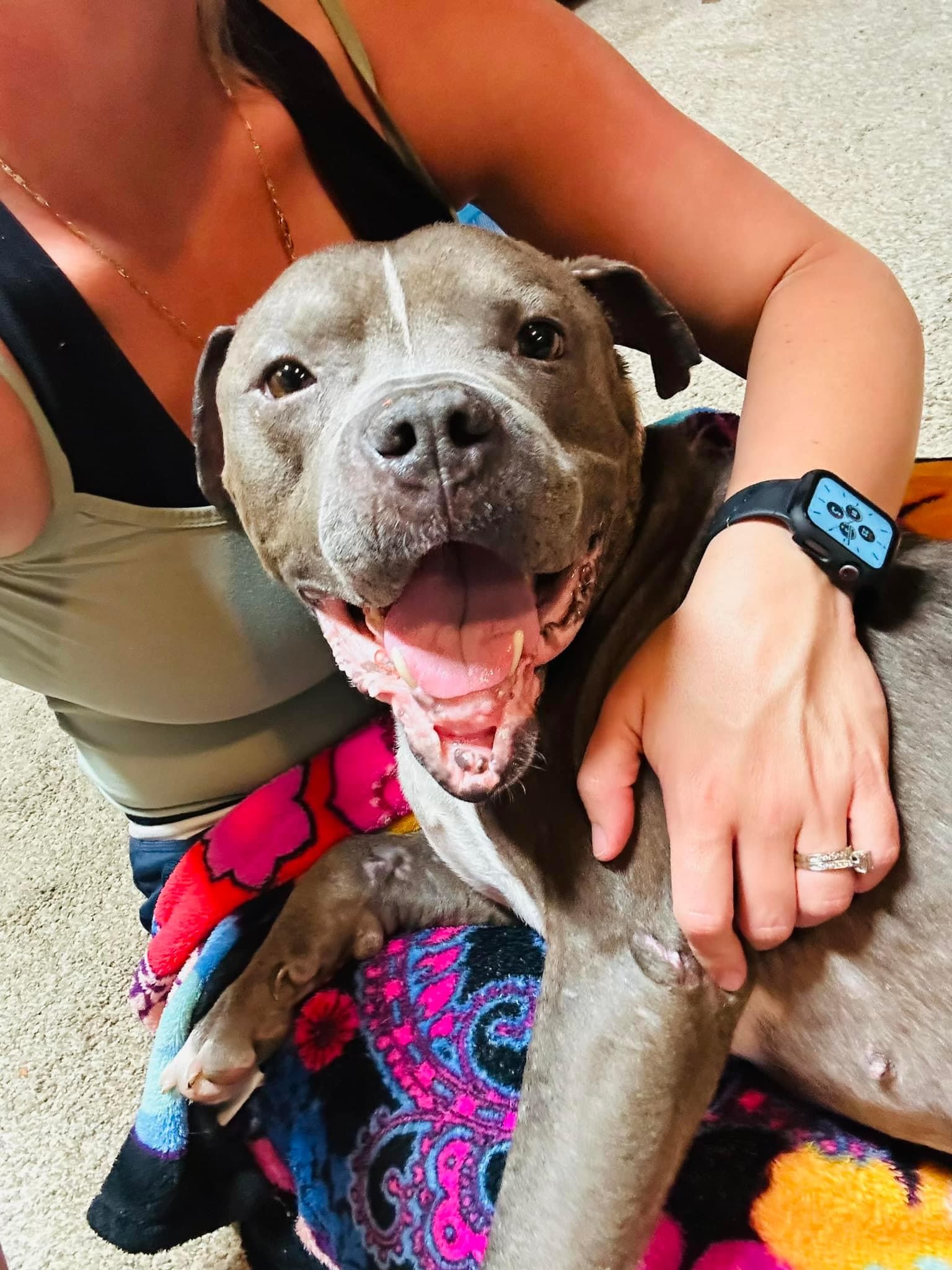 Gumbo — thumbnail 2