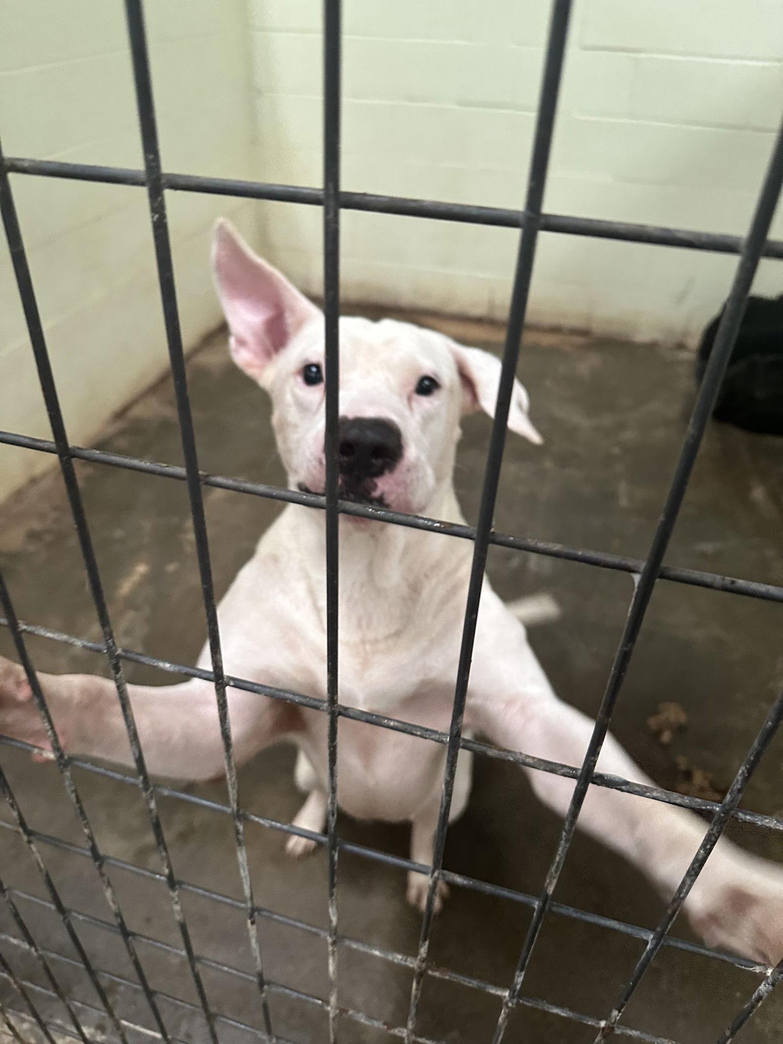 Murphy — thumbnail 2