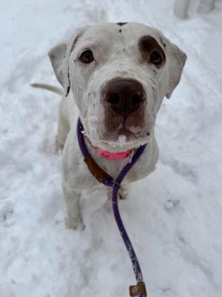 Juno