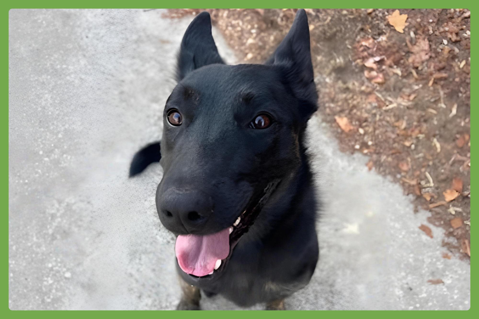 Zeus — thumbnail 3