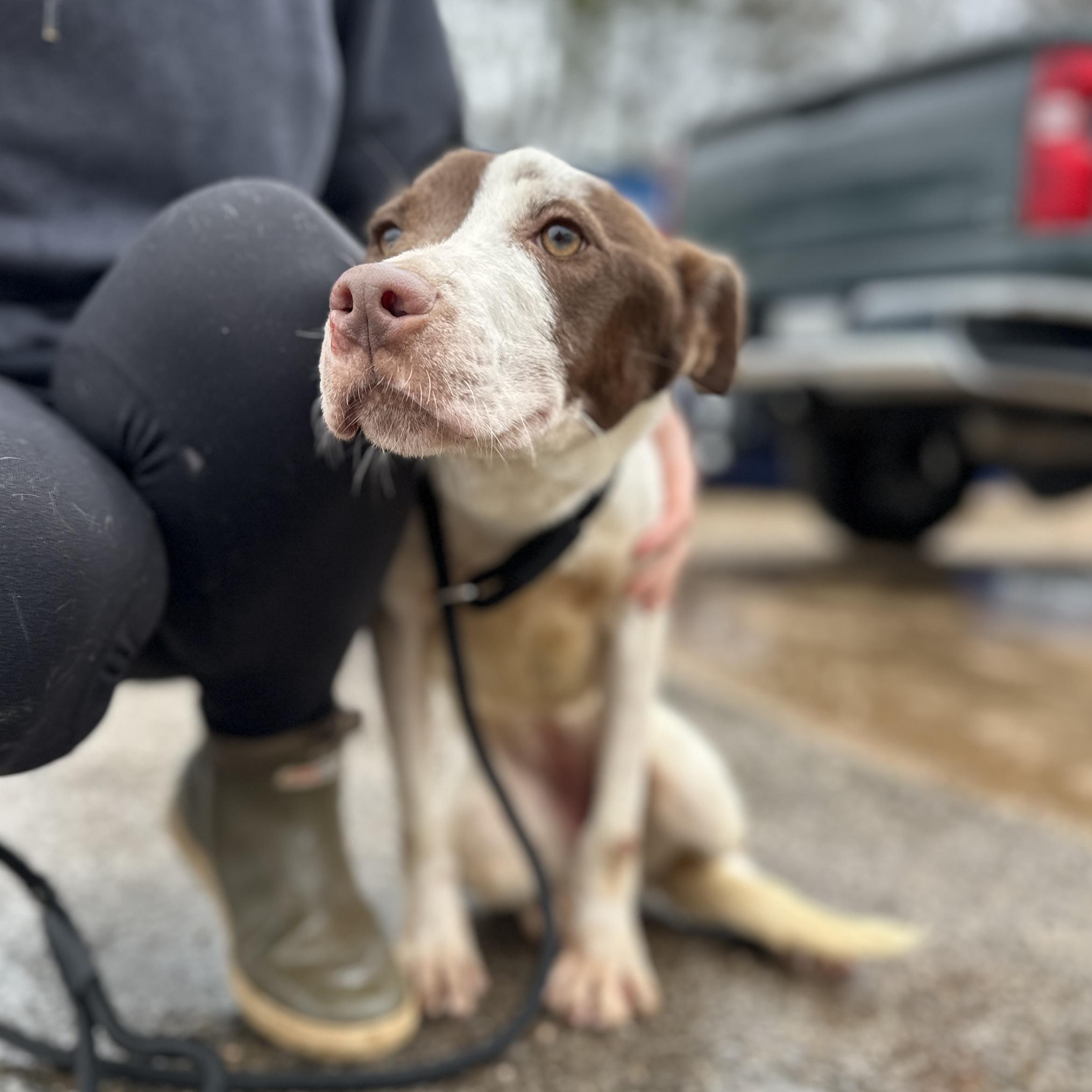 HydroJug — thumbnail 2