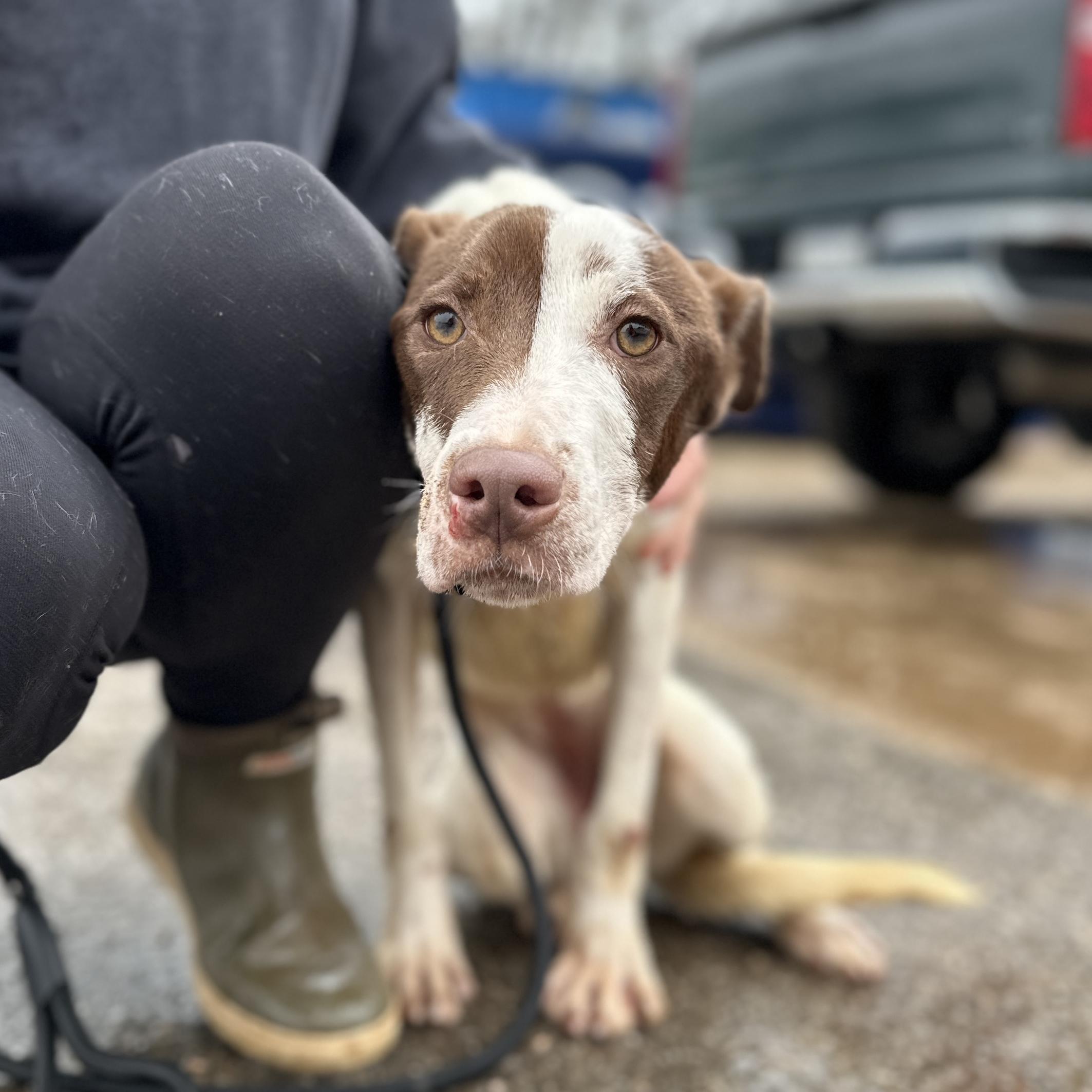 HydroJug — thumbnail 3