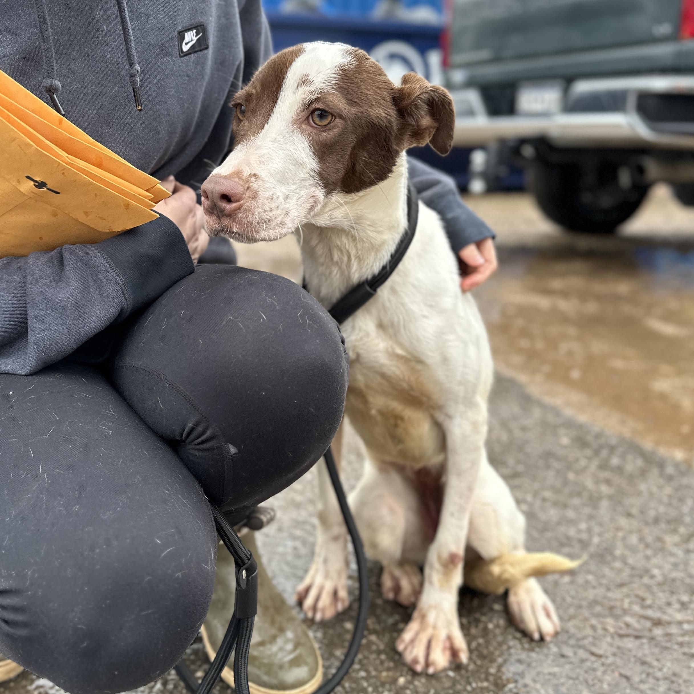 HydroJug — thumbnail 4