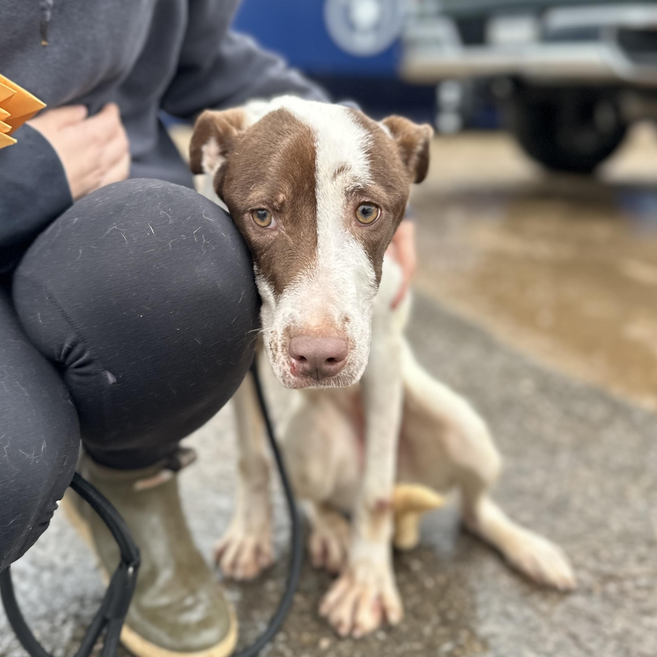 HydroJug — thumbnail 5