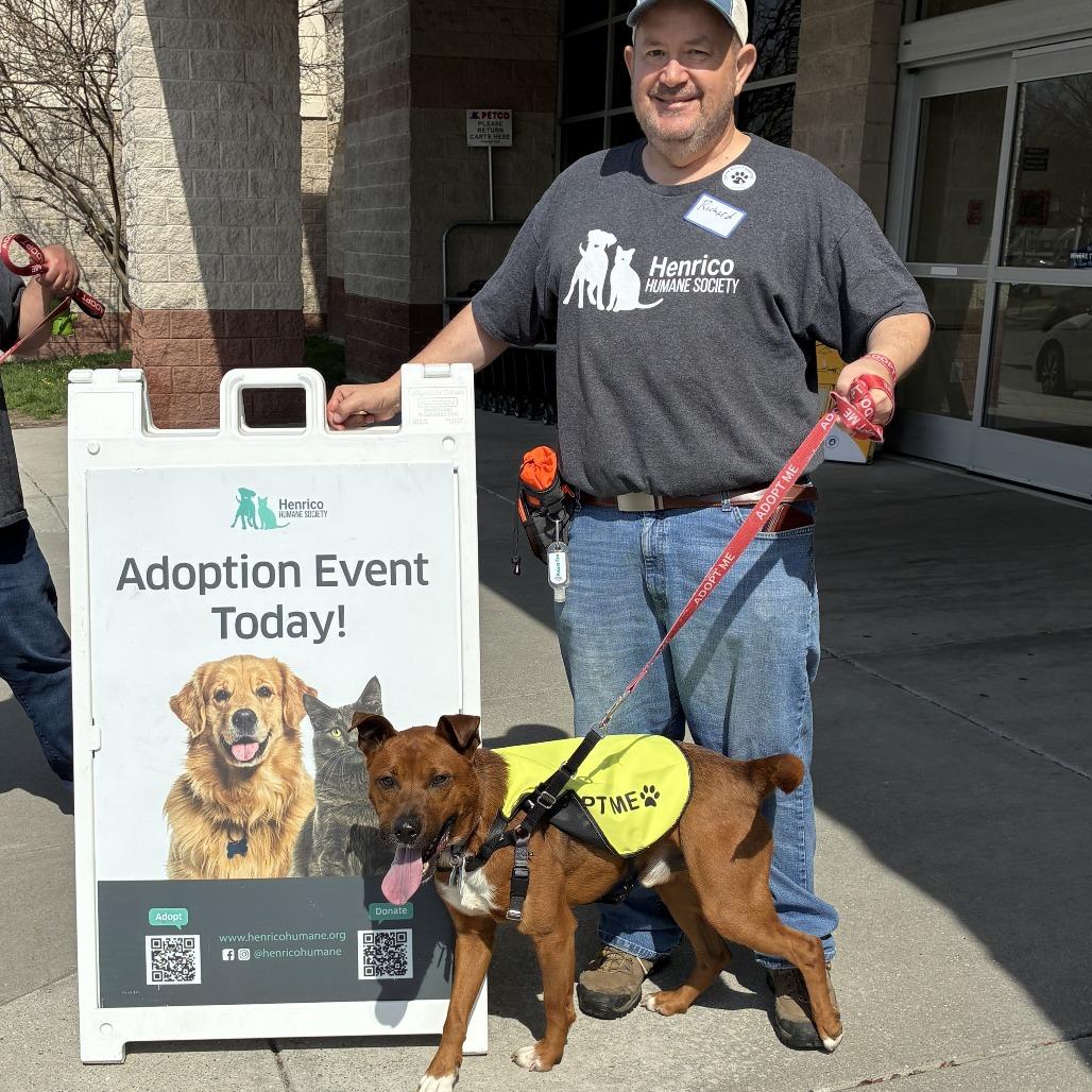 Enlarge Moose, a Adoptable Mixed Breed in Richmond, VA image 2/6