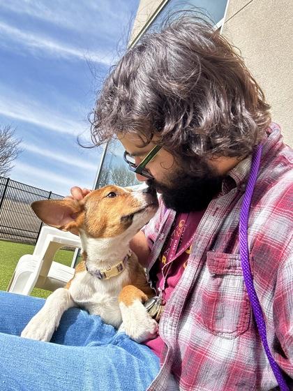 Enlarge Paulette the Platypus, a Adoptable mixed breed in Wichita, KS image 2/3