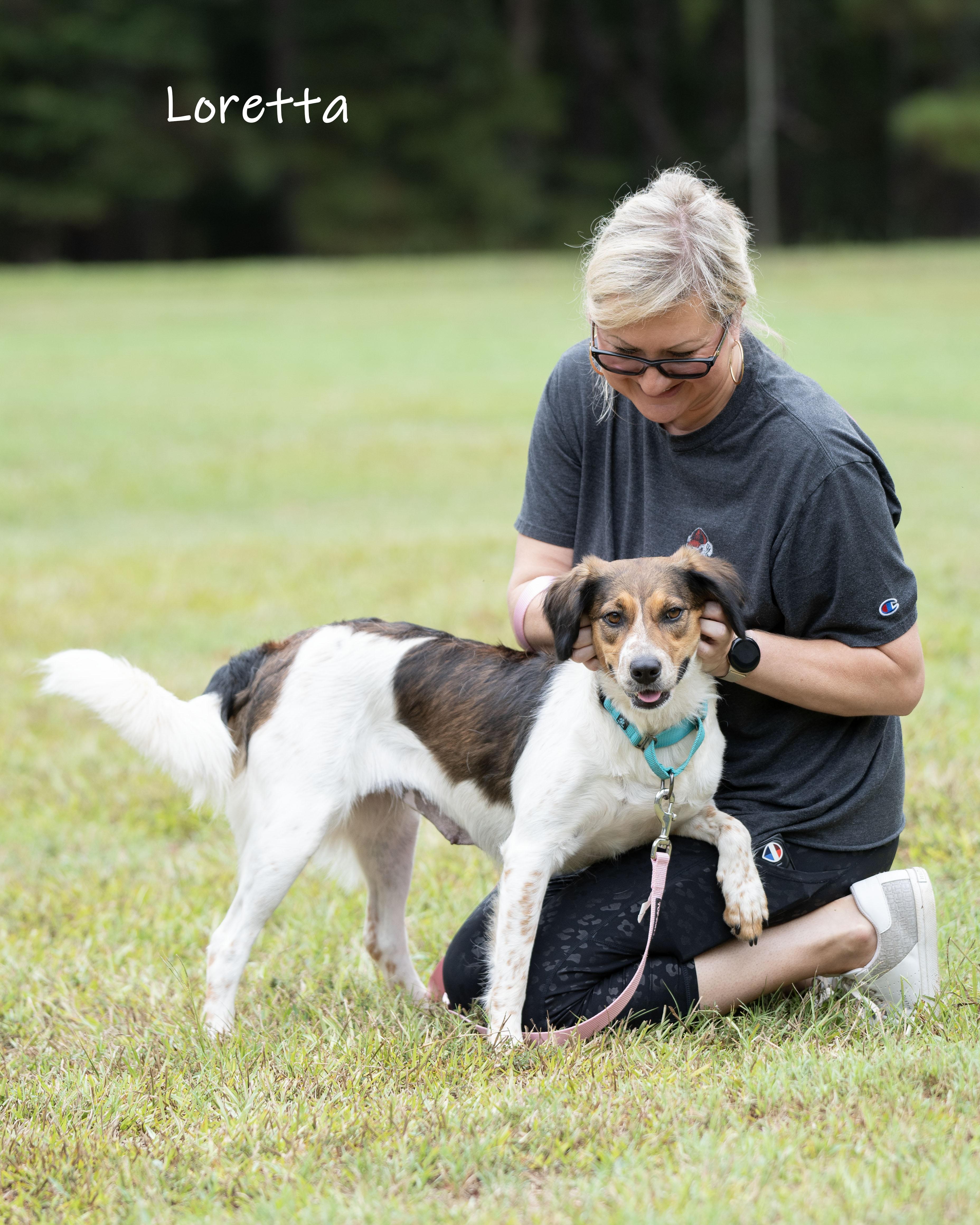Enlarge Loretta, a Adoptable mixed breed in Bishop, GA image 6/6