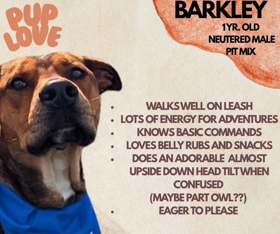 Barkley — thumbnail 2