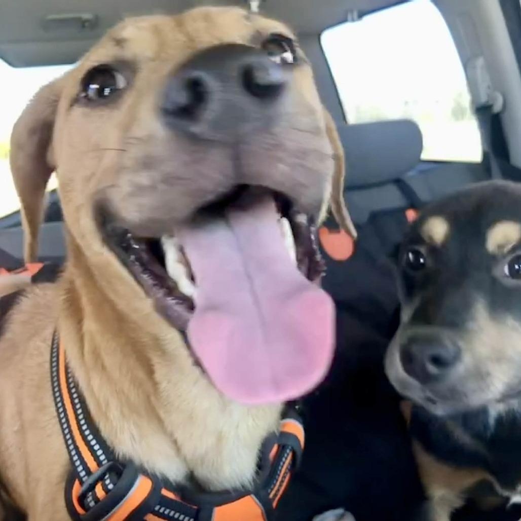 Zeus — thumbnail 3