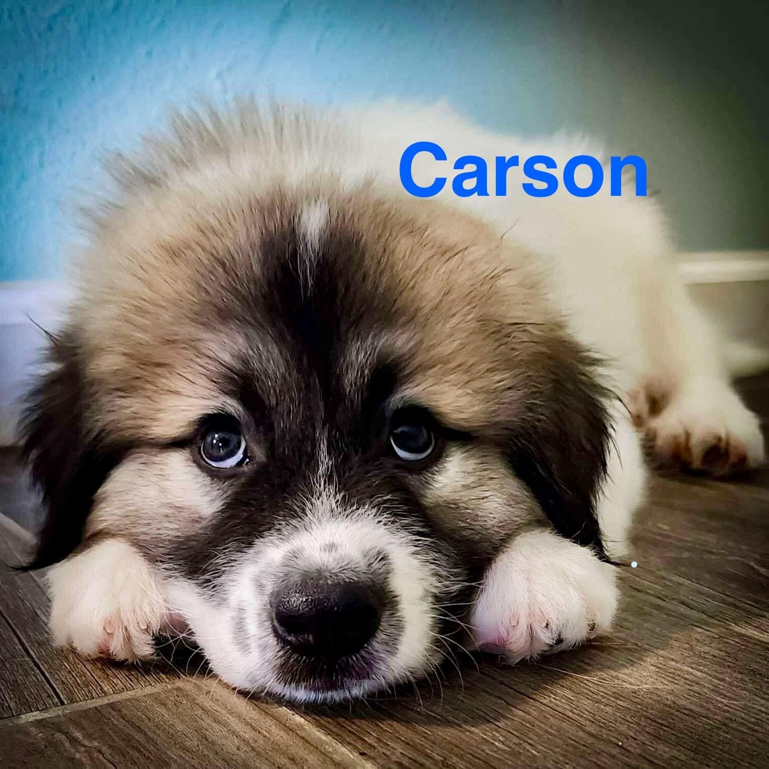 Carson