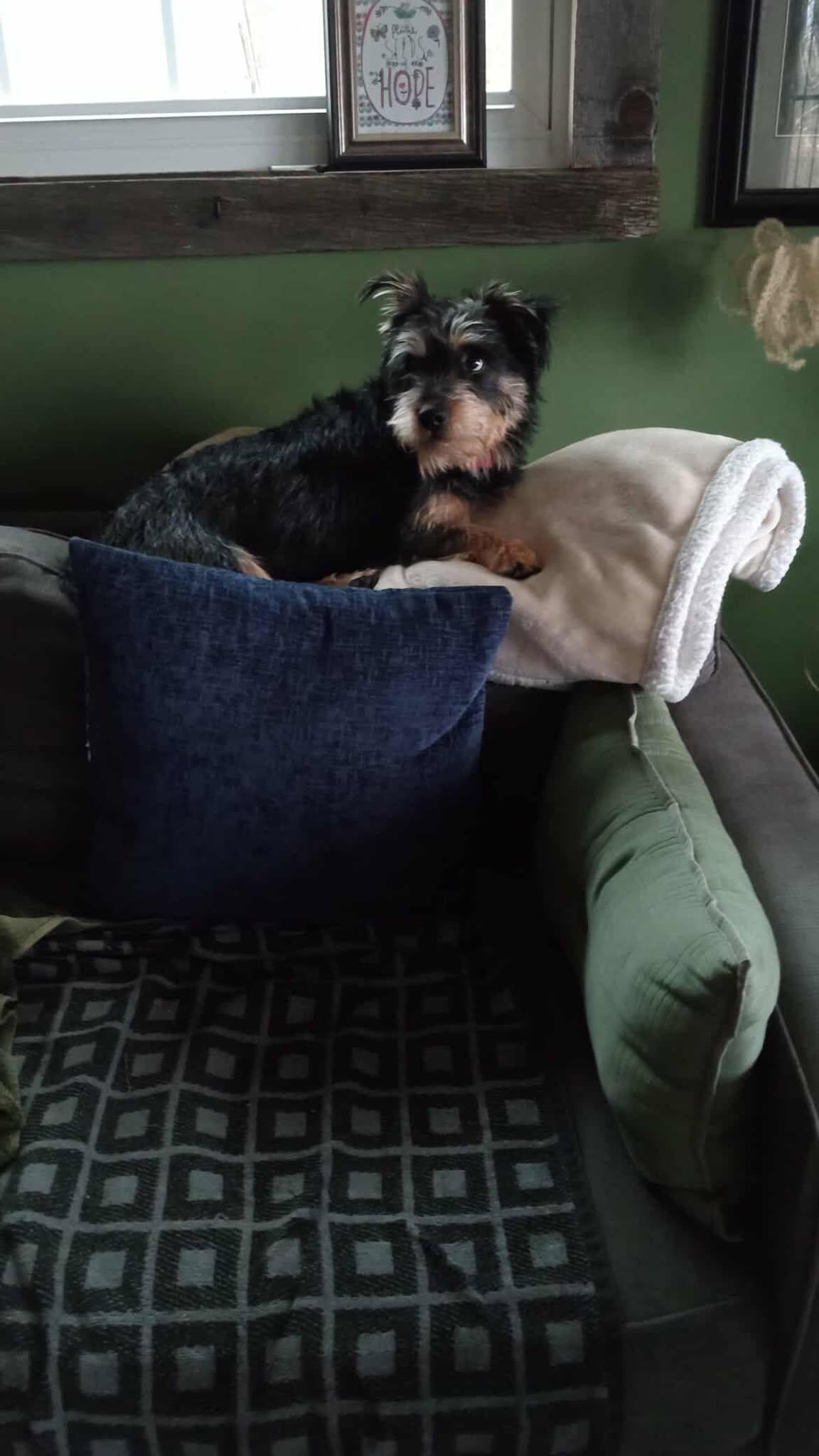 Henry James thumbnail 2