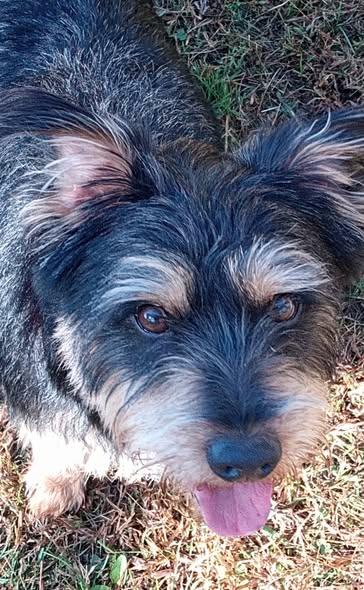 Henry James thumbnail 3