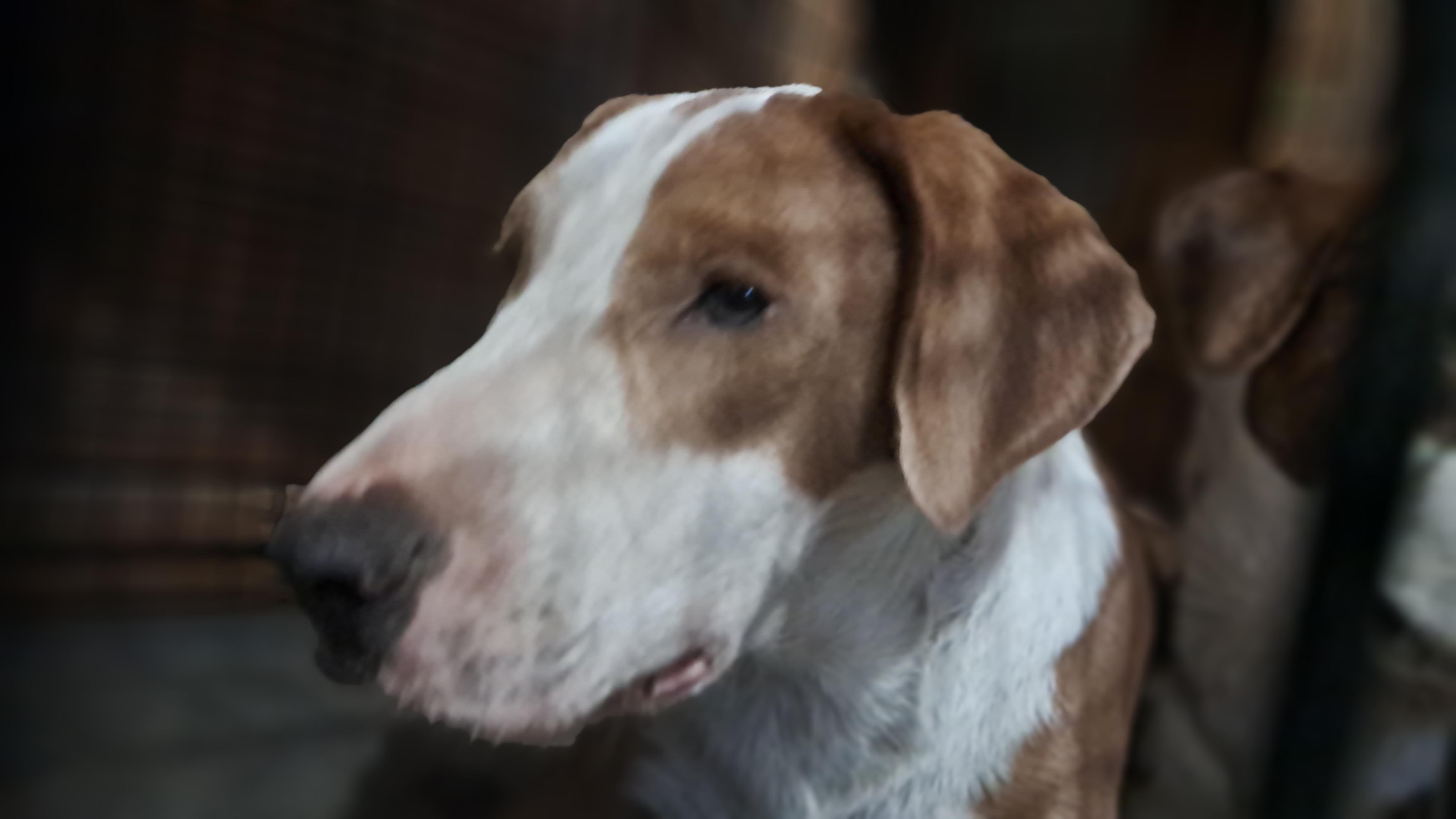 Bullseye thumbnail 3