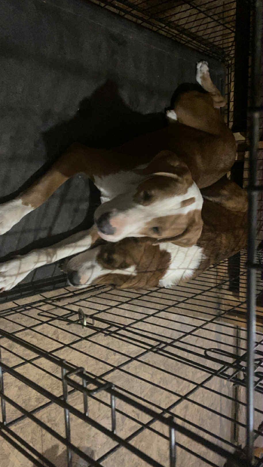 Bullseye thumbnail 2