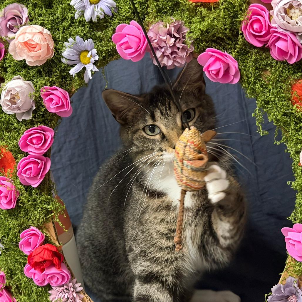 Delta — thumbnail 2