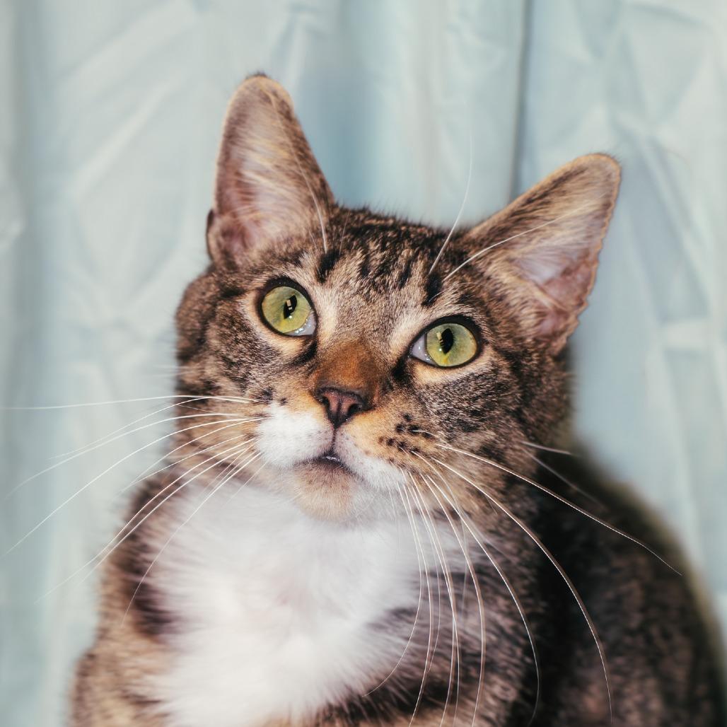 Delta — thumbnail 3