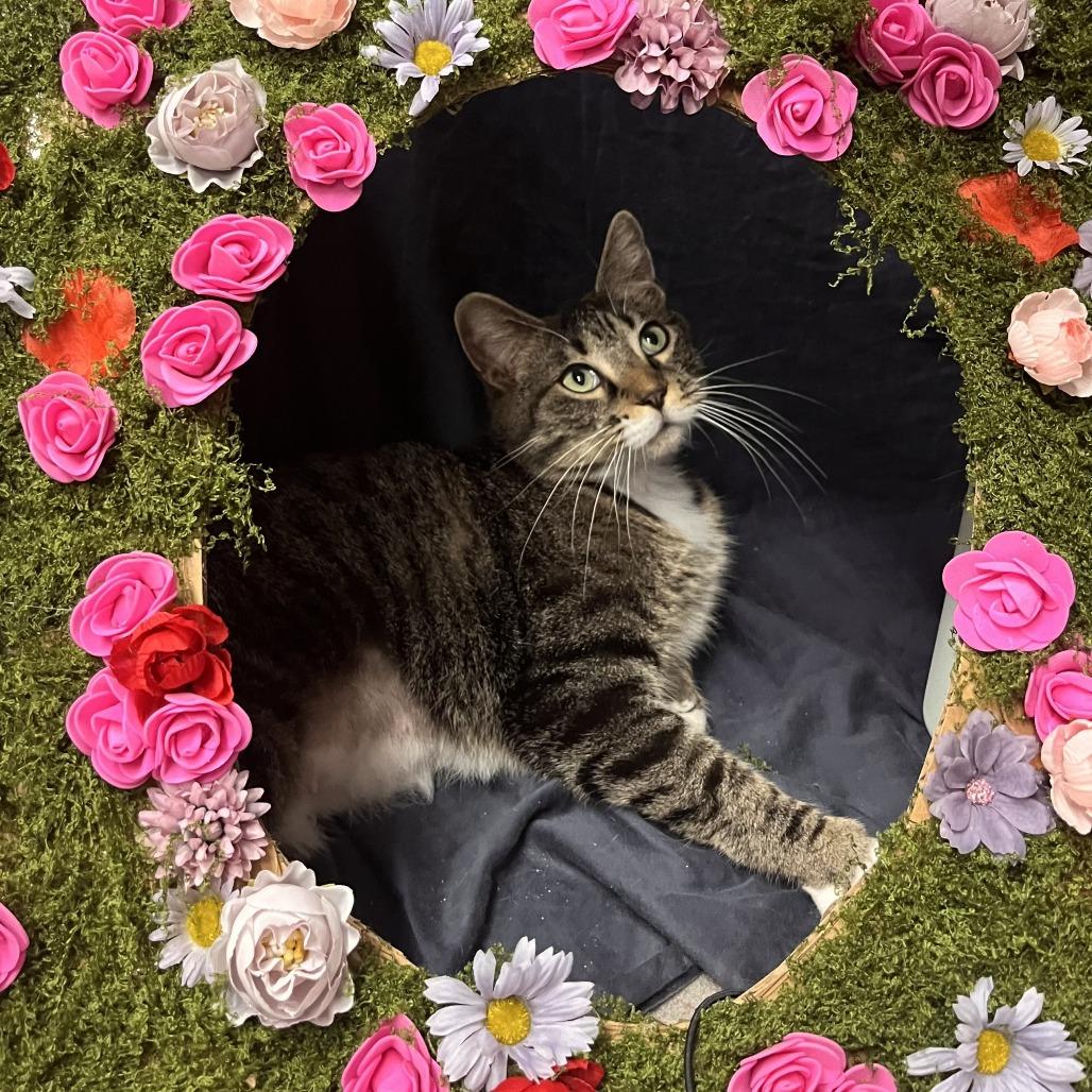 Delta — thumbnail 4