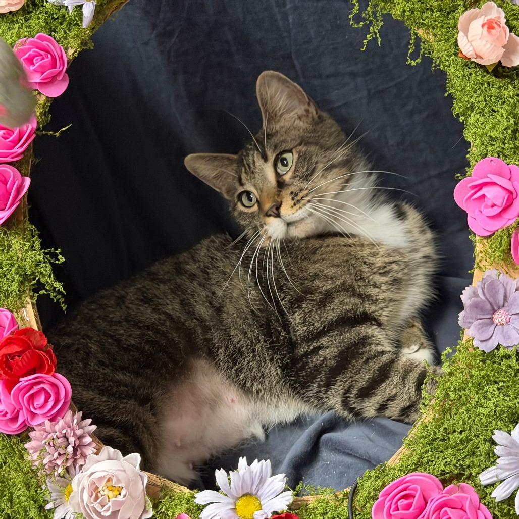 Delta — thumbnail 5