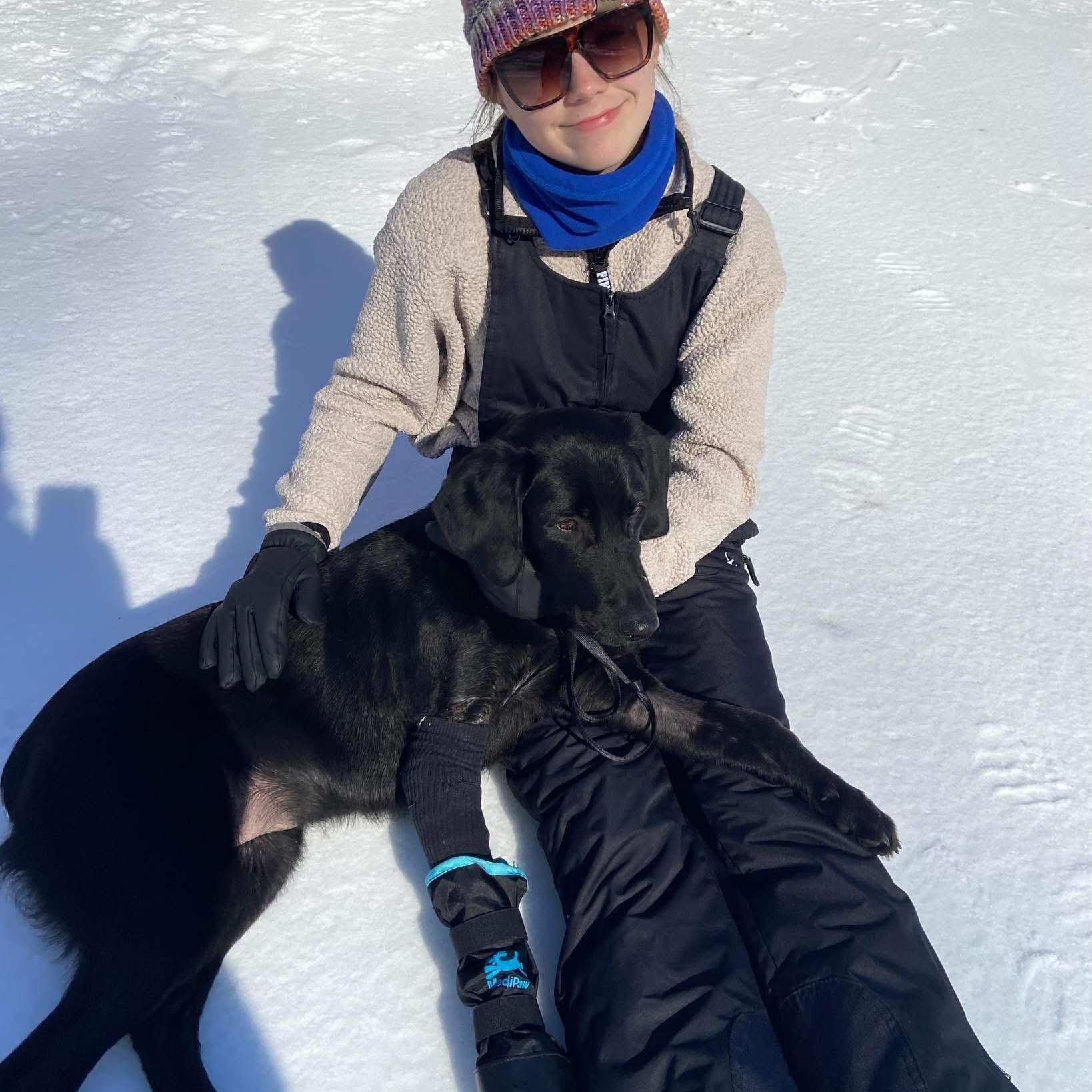 Ranger, an adopted mixed breed in Kalamazoo, MI image 2/6