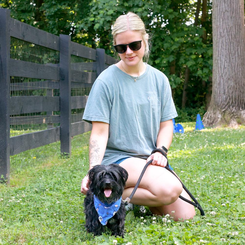 Enlarge Sully (Male), an adopted mixed breed in West Grove, PA image 6/6
