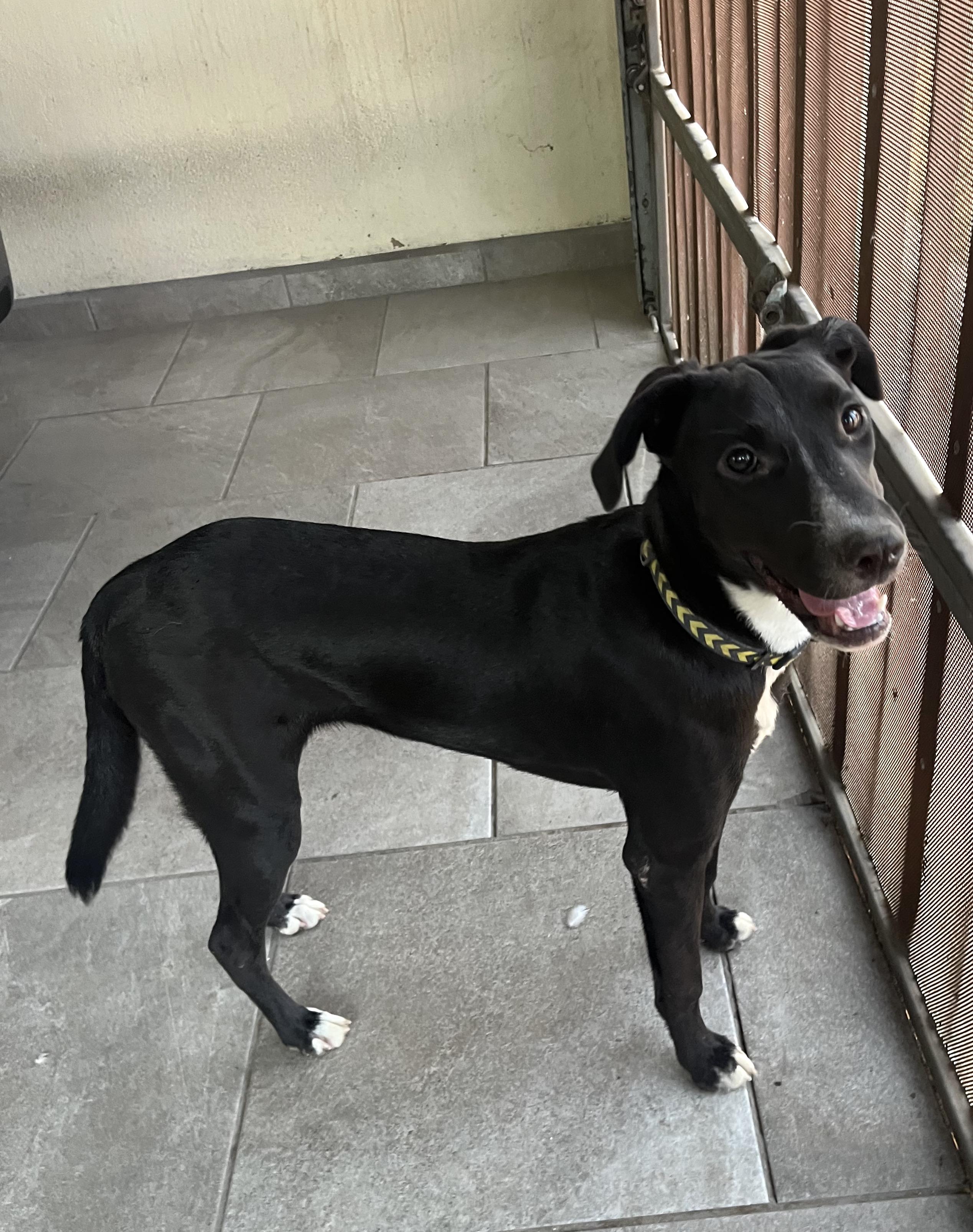 Mika — thumbnail 3