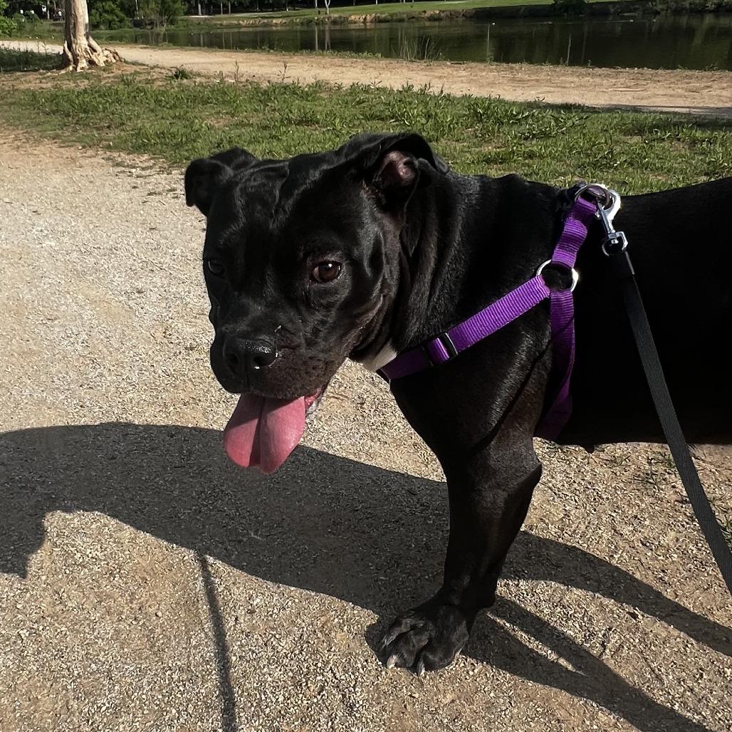 Angie — thumbnail 2