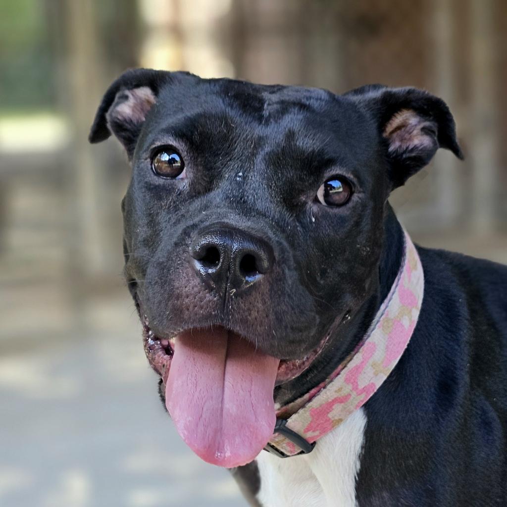 Angie — thumbnail 3