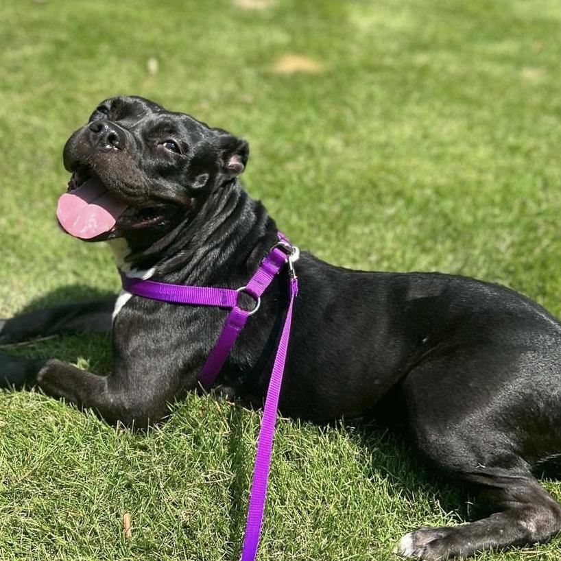 Angie — thumbnail 4