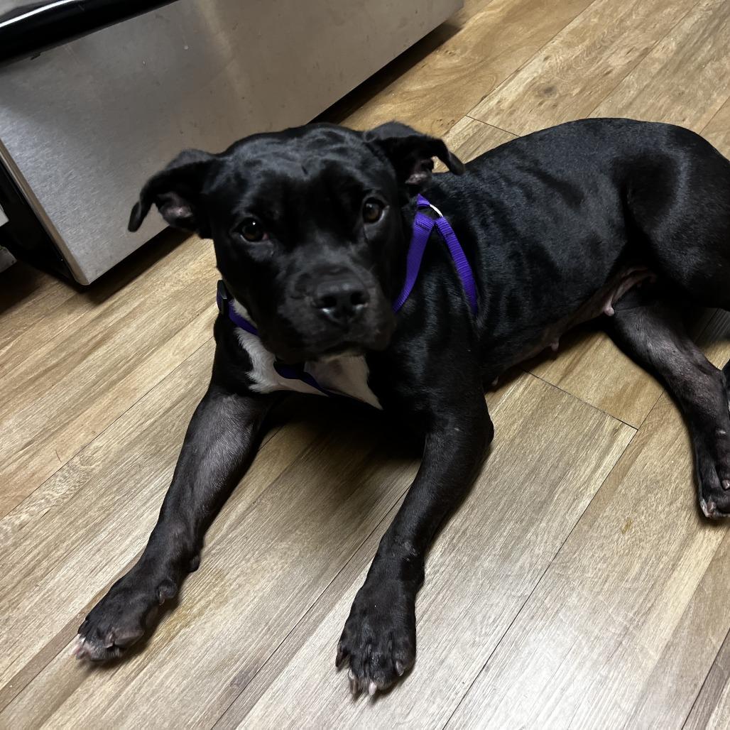 Angie — thumbnail 5