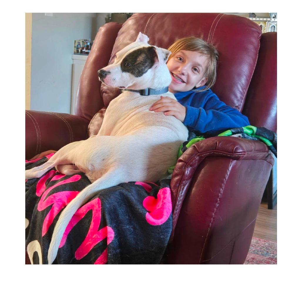 Enlarge Rupert C-34472, a Adoptable mixed breed in Oklahoma City, OK image 2/4