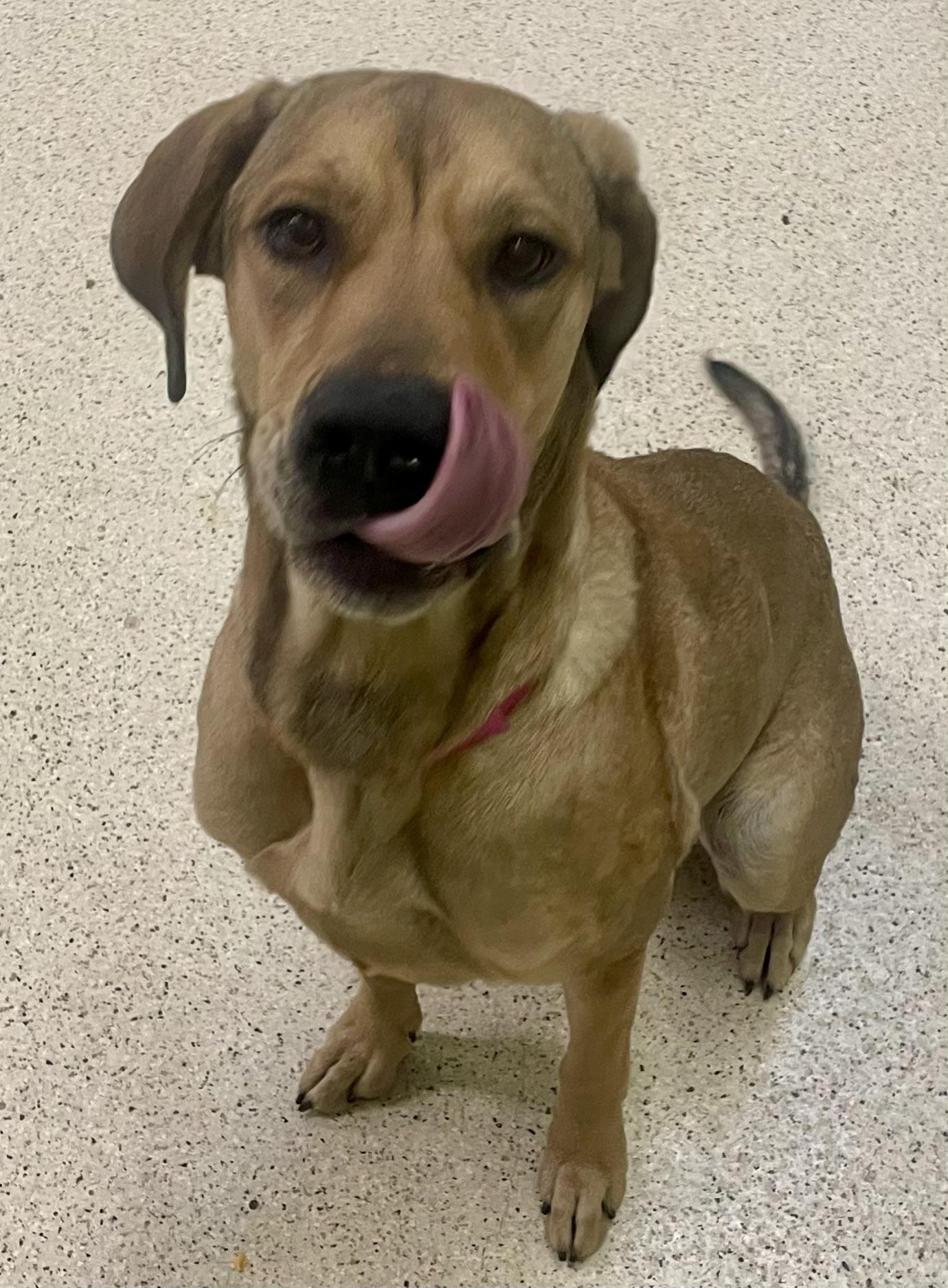 Misty — thumbnail 2