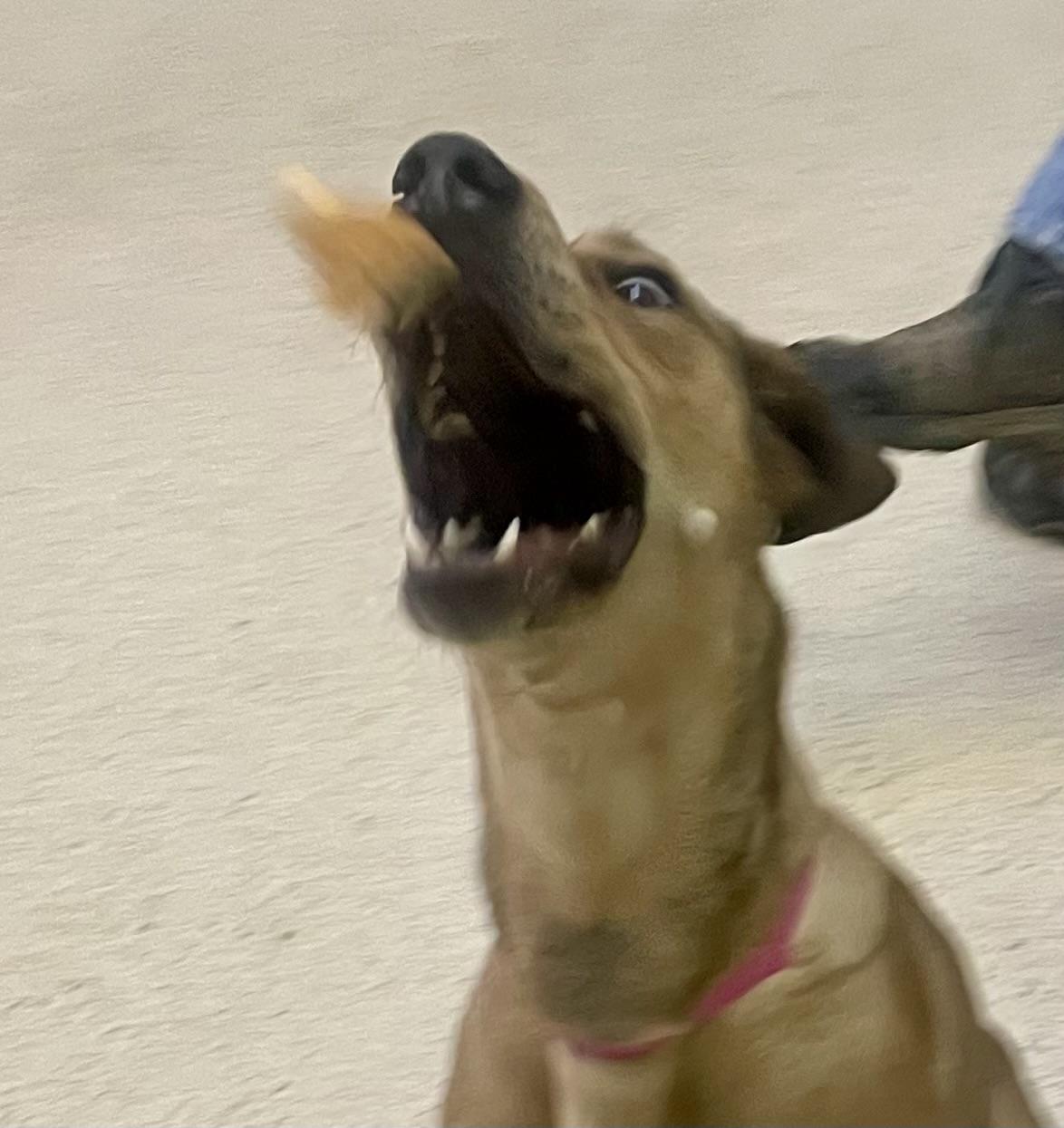 Misty — thumbnail 4