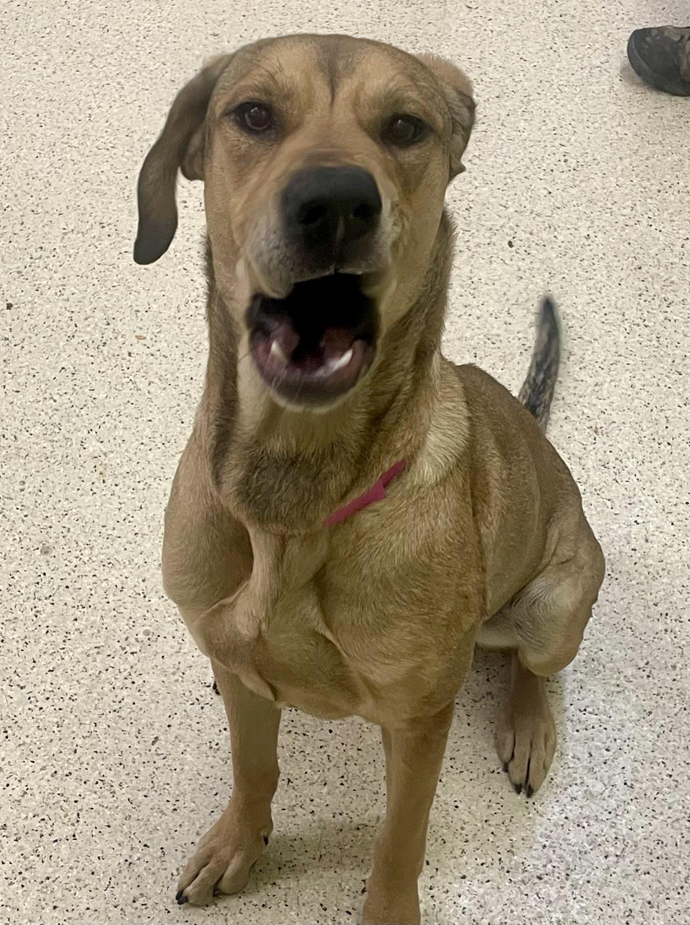 Misty — thumbnail 5