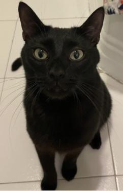 Bennie — thumbnail 5