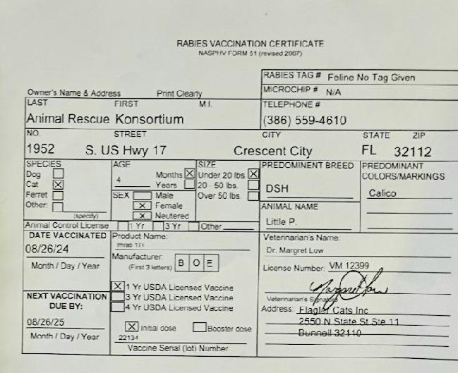 Penelope also known as Little P — thumbnail 2