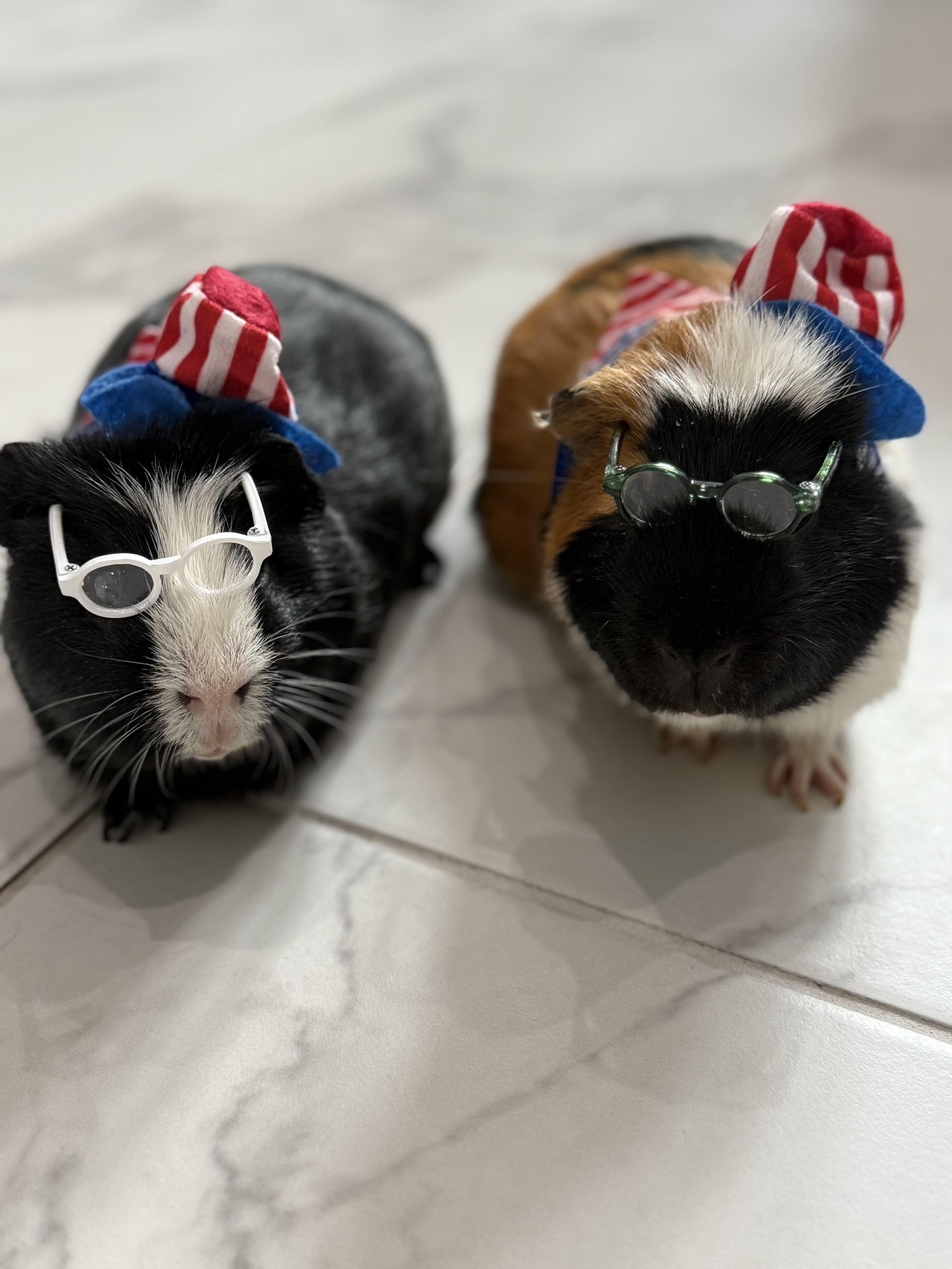 Panda & Peanut photo 2