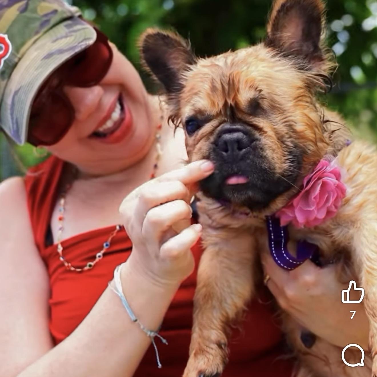 Enlarge Evee, a Adoptable mixed breed in Douglas, MA image 3/6