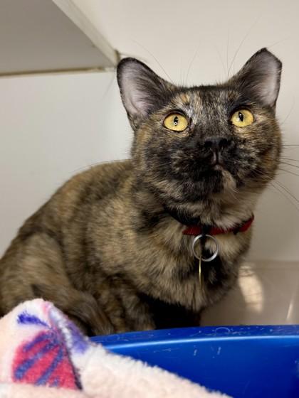 Julianne thumbnail 2