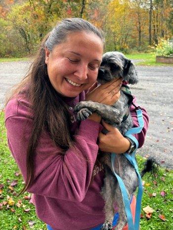 Enlarge Smokey, a Adoptable Shih Tzu in Bedford Hills, NY image 6/6