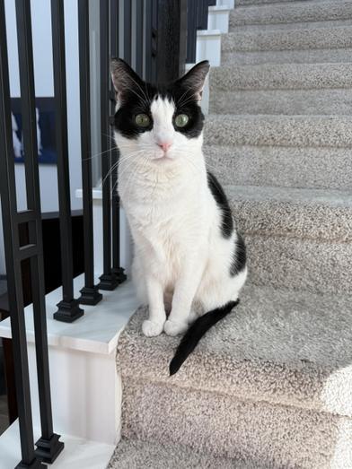 Tali — thumbnail 3