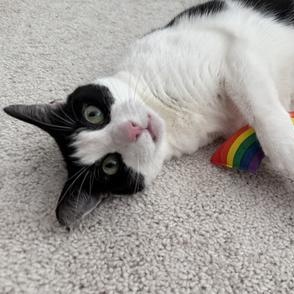 Tali — thumbnail 6