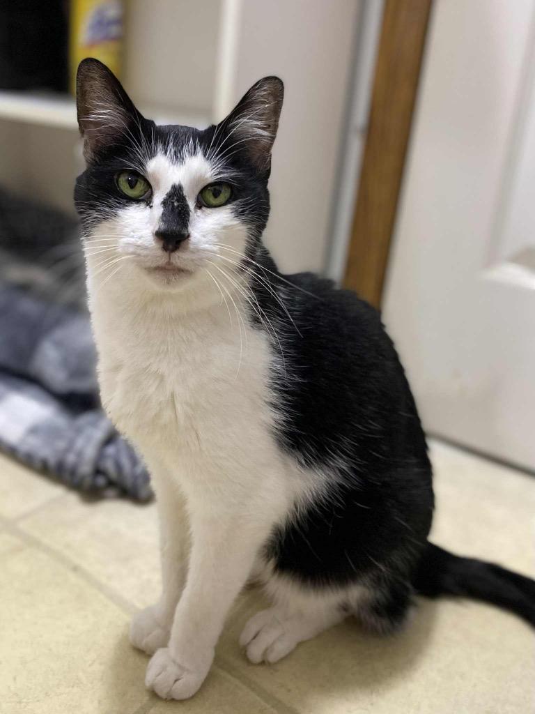 Theo — thumbnail 3