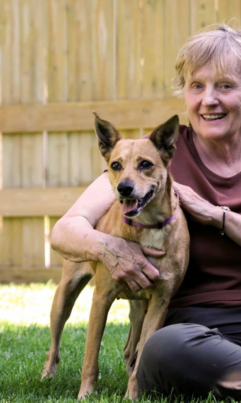 Enlarge Caramel, a Adoptable mixed breed in Erin, ON image 5/6
