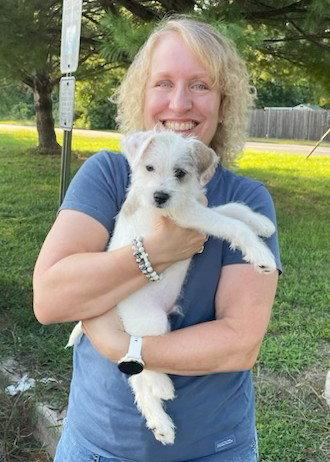 Harvey, a Adopted Havanese in Mount Laurel, NJ image 2/3