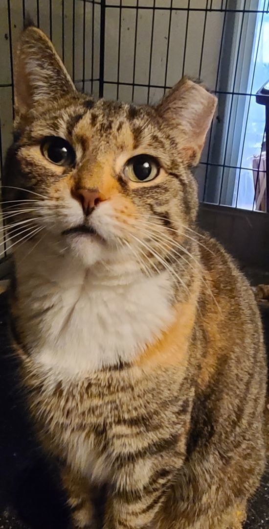 Penny photo 2