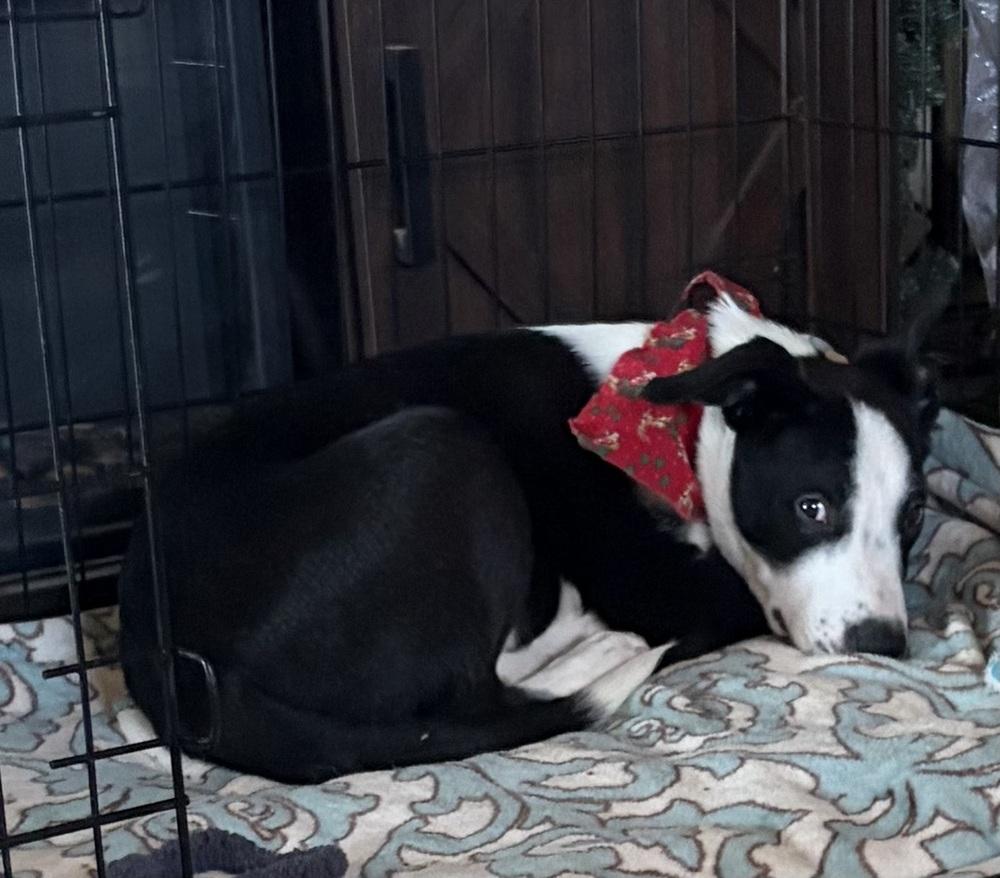 Otis Redding thumbnail 5