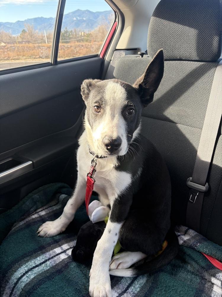 Otis Redding thumbnail 7