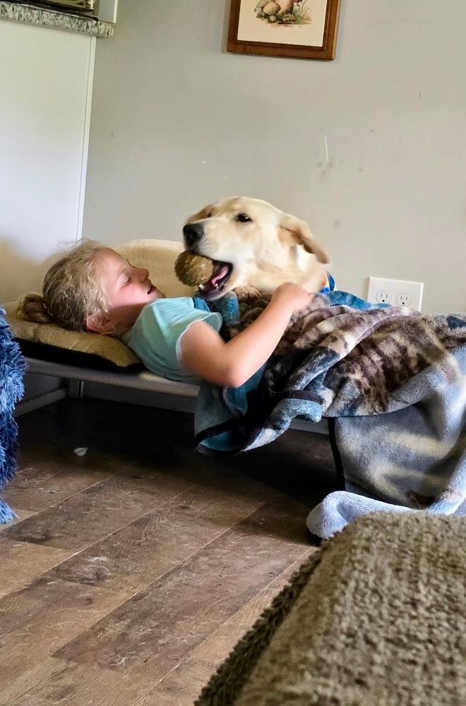 Hamilton, a Adoptable mixed breed in Mocksville, NC image 5/6