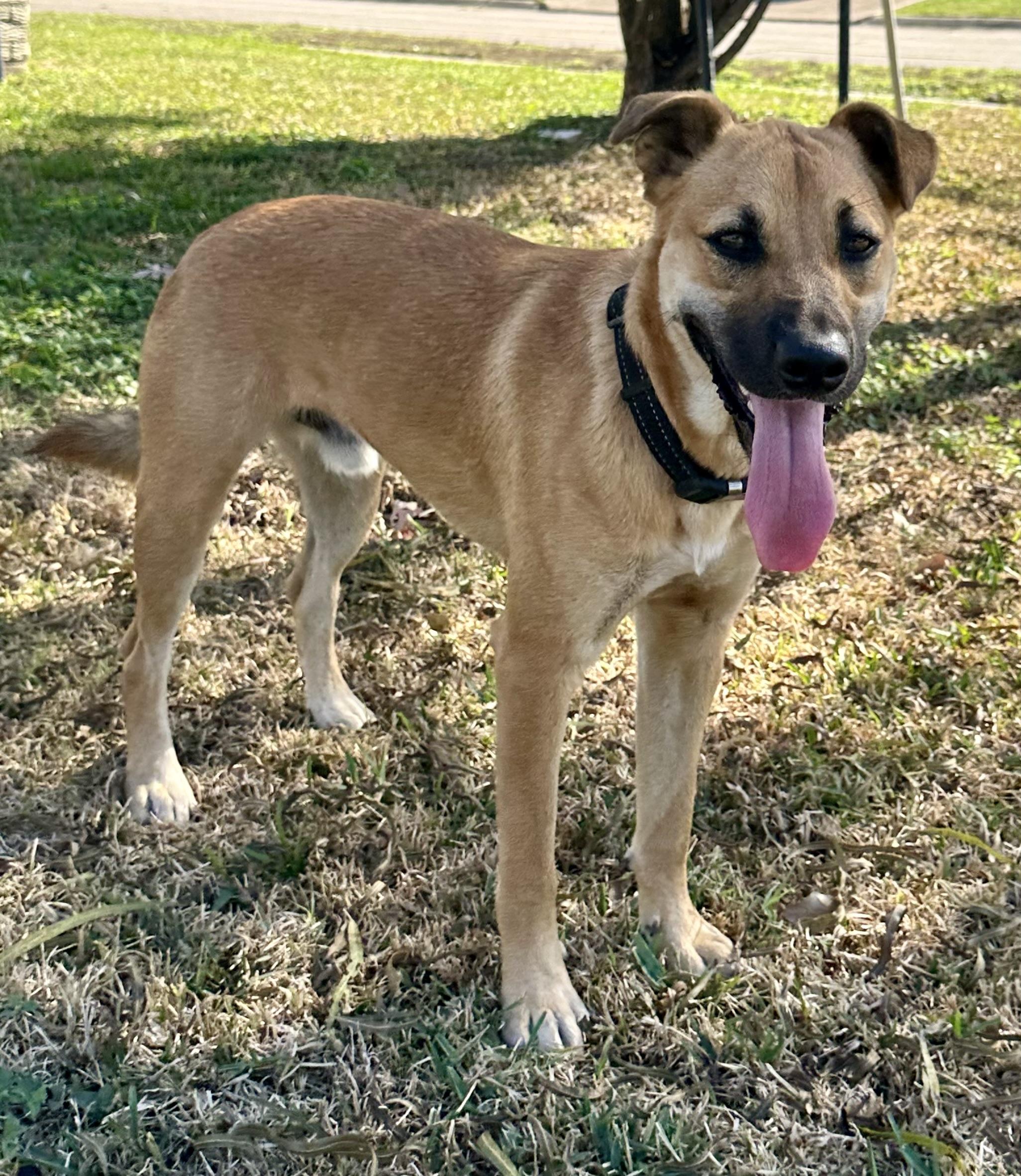 Osito — thumbnail 2